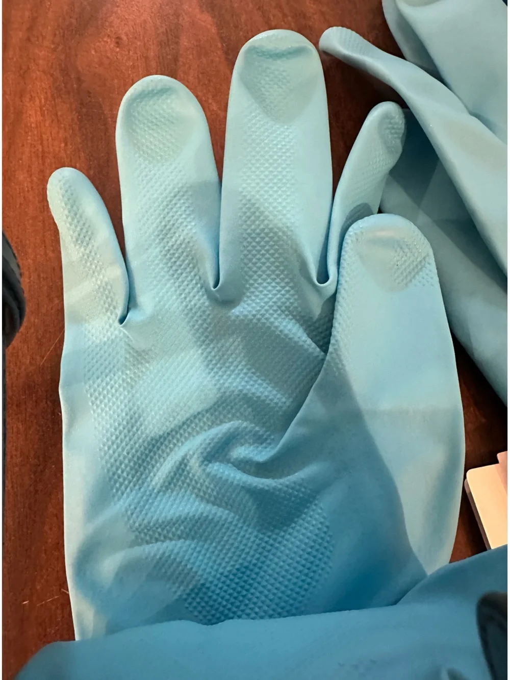 NWT Long Wearing Premium Patterned🧤Gloves (Size: L)